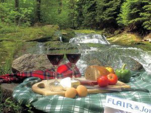 Flair-Picknick